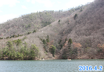 大野ダム水位