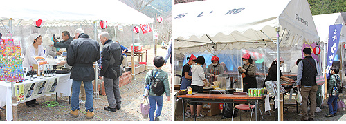 大野ダム桜祭り