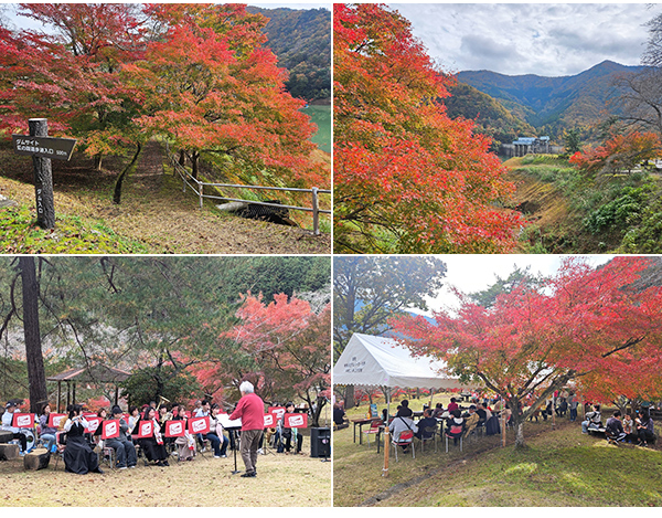 大野ダム公園